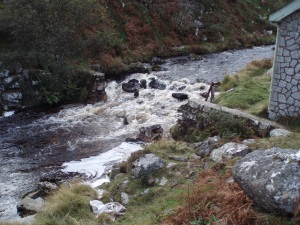 Belstone Weir After